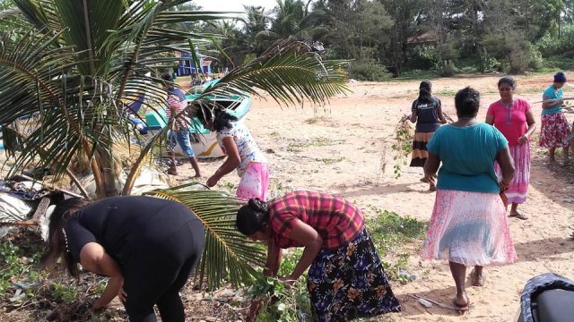 වෙල්ලමංකරය .සිංදාතිය .කම්මල වසම්වල වෙරළ පවිත්‍ර කිරිම 2019-12-29