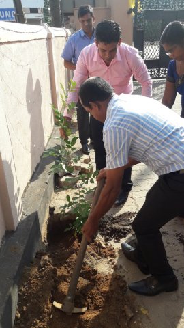 2020 නව වසරේ පළමු දින ආරම්භය