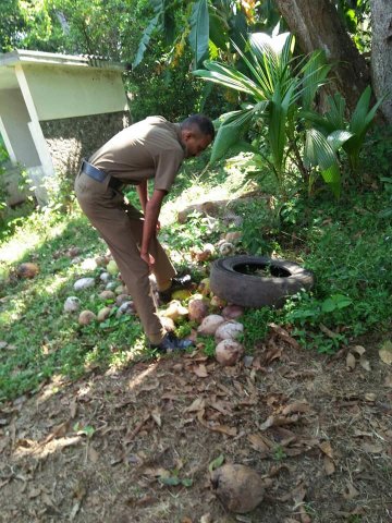 ඩෙංගු වැඩසටහන් 2019 සිට