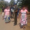 ඩෙංගු වැඩසටහන් 2019 සිට