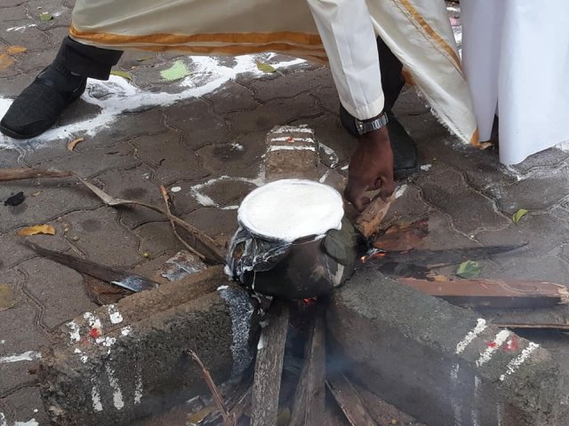 තෛයිපොංගල් උත්සවය 2019