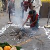 තෛයිපොංගල් උත්සවය 2019